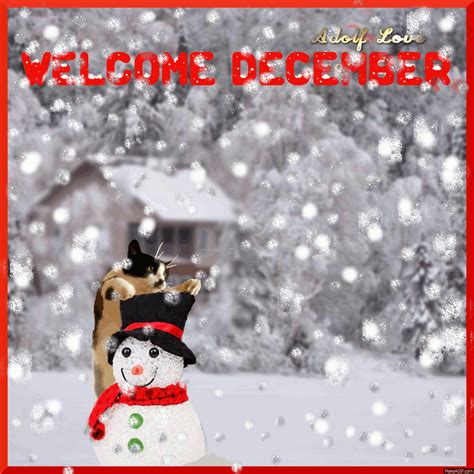 welcome december gif
